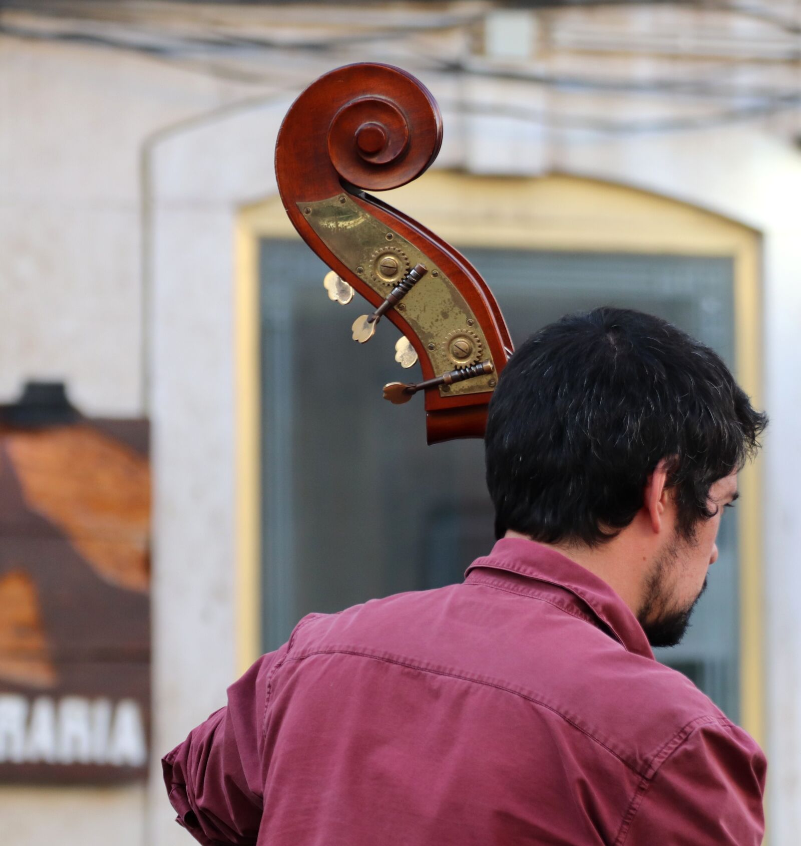 Canon EOS 200D (EOS Rebel SL2 / EOS Kiss X9) sample photo. Music, road, instrument photography