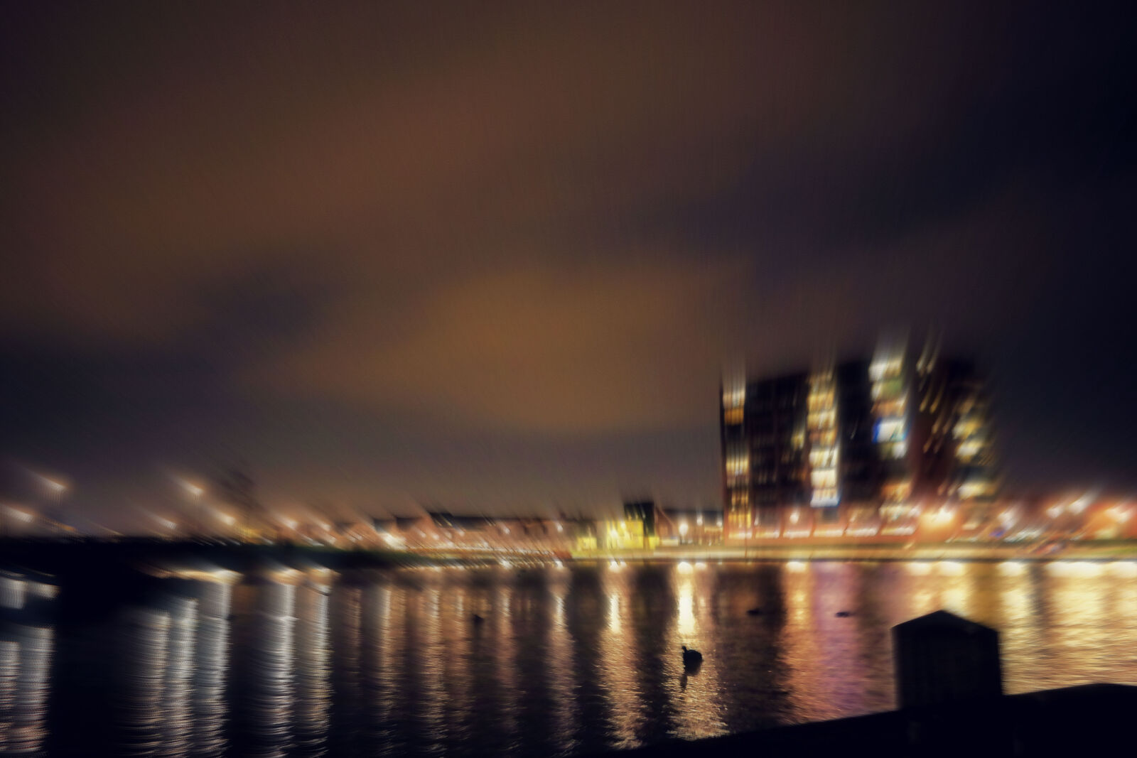 Samsung NX300 sample photo. Adobe, photoshop, birds, nightshot photography