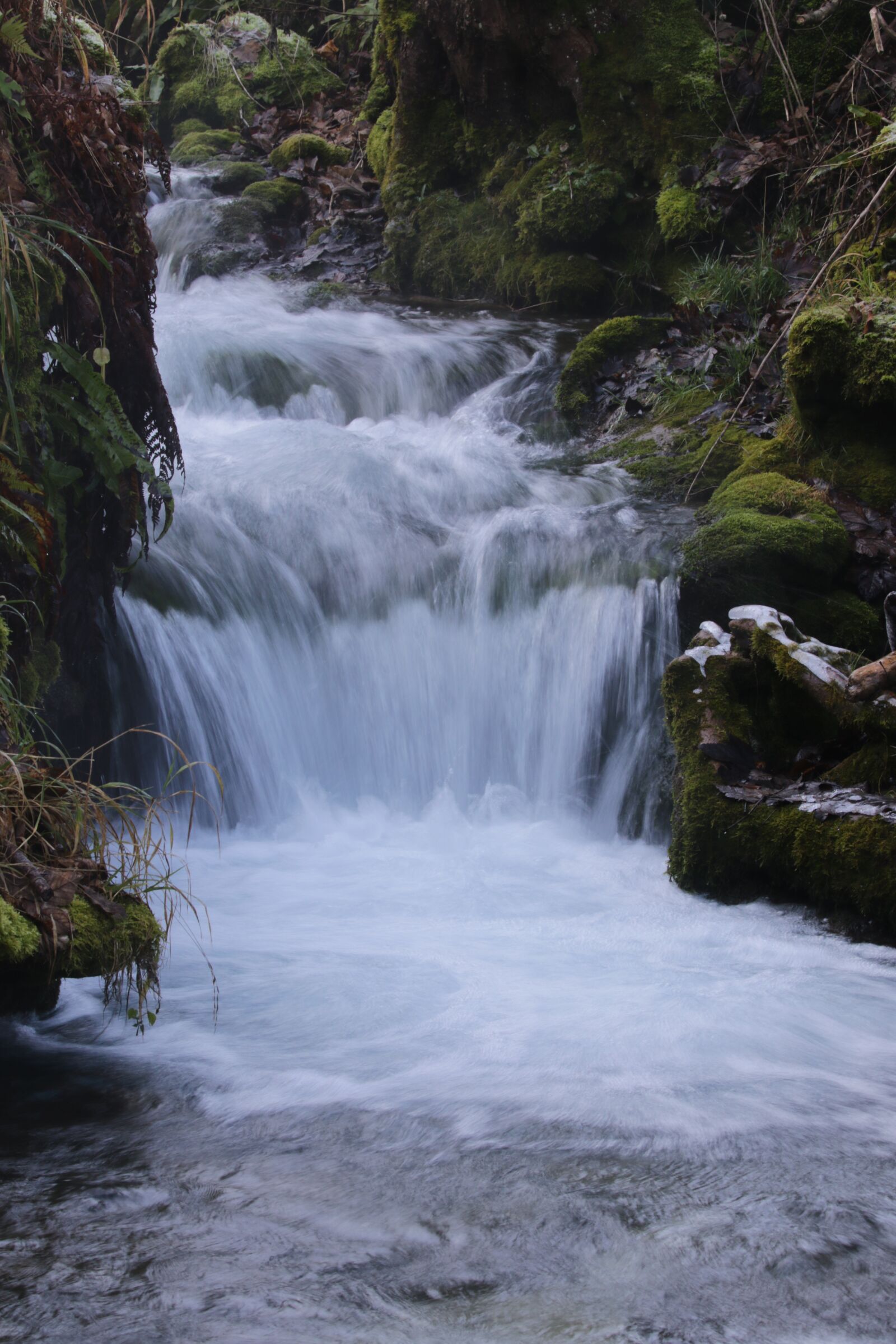 Canon EOS 7D Mark II sample photo. River, water, fog photography