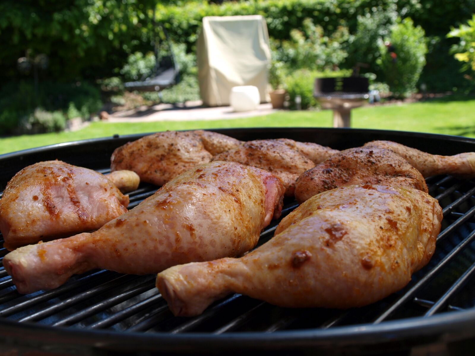 Olympus E-420 (EVOLT E-420) sample photo. Chicken legs barbecue, chicken photography