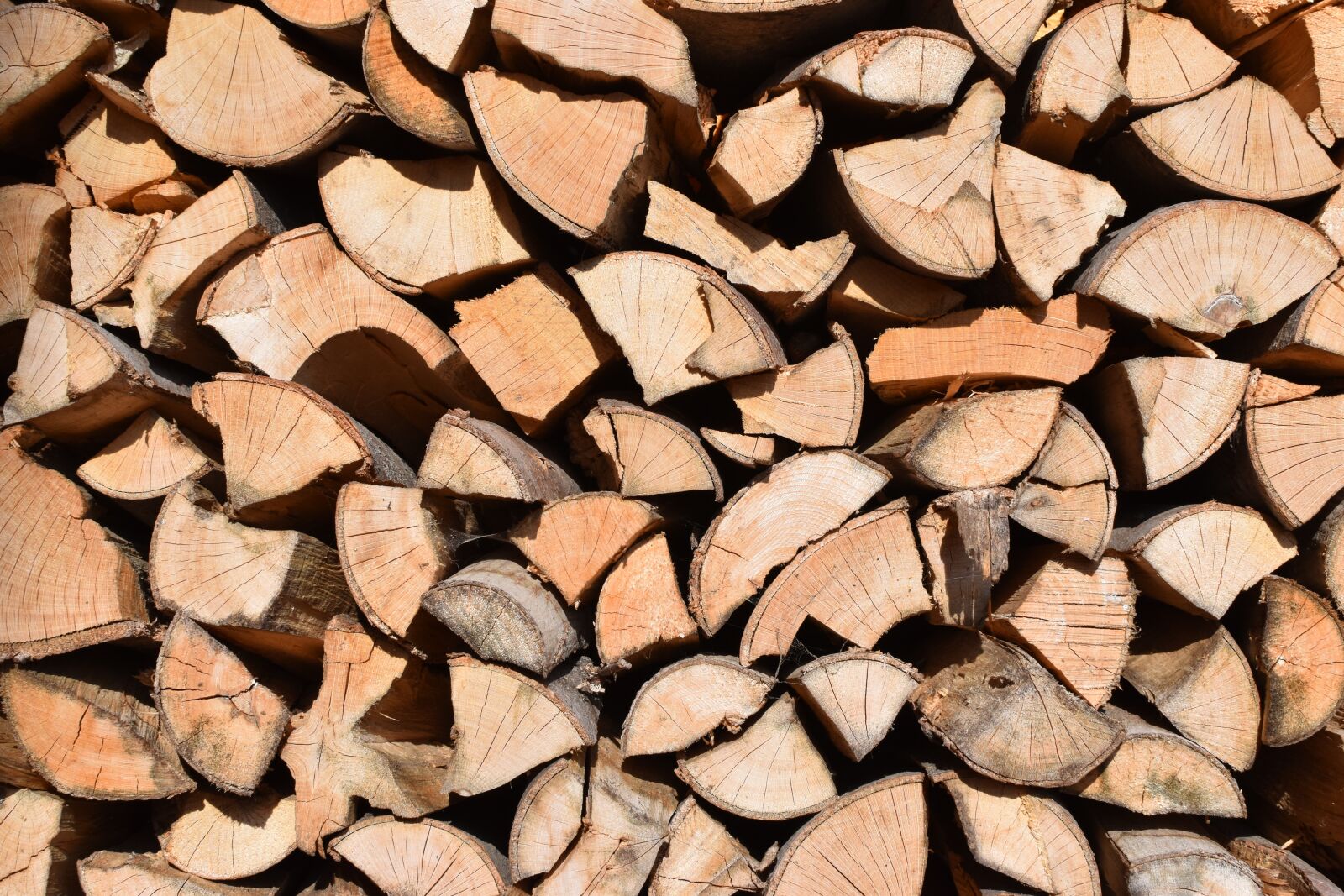 Nikon D5600 sample photo. Firewood, holzstapel, tribe photography