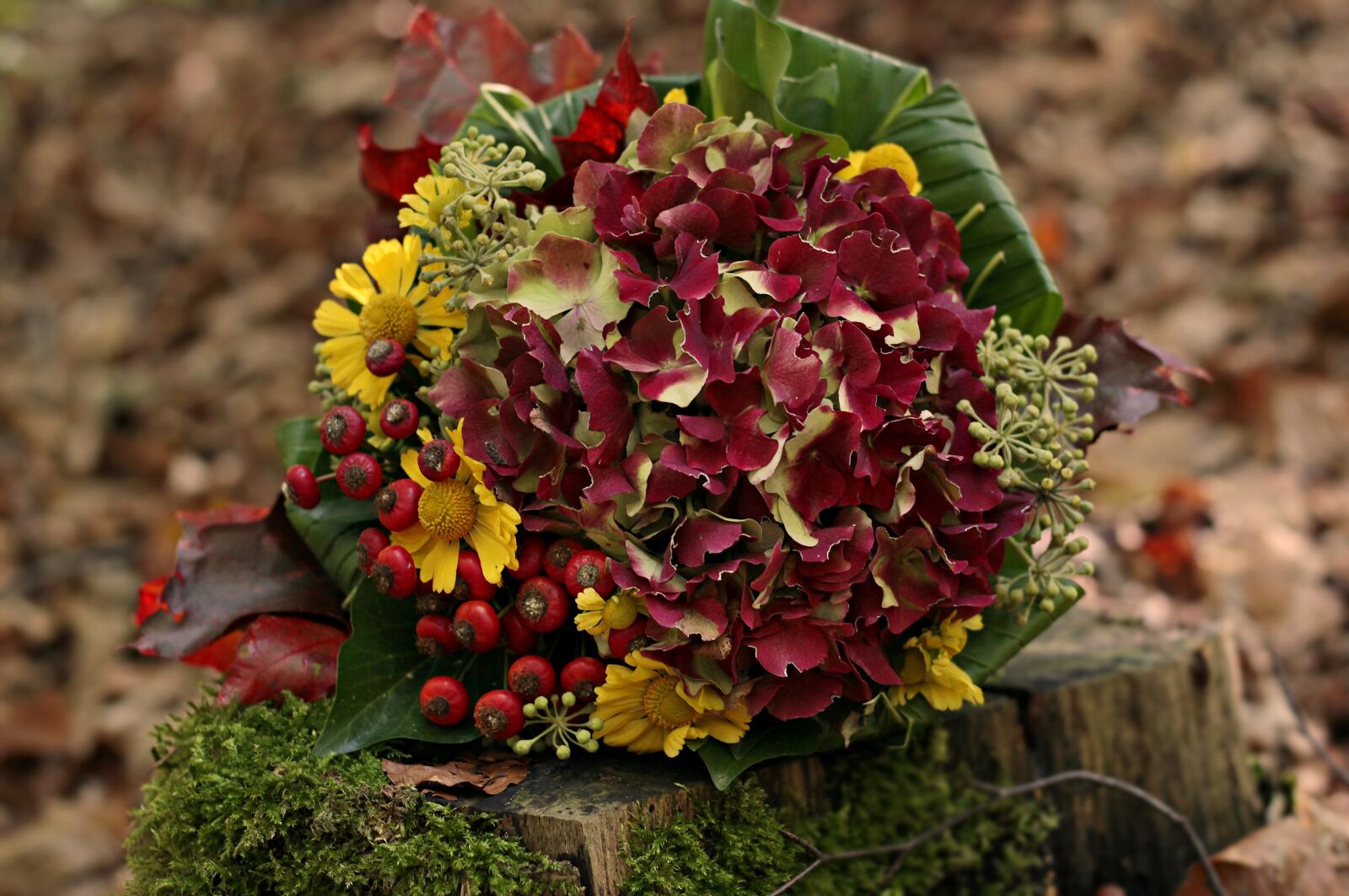 Canon EF 50mm F1.8 STM sample photo. Bouquet, autumn bouquet, autumn photography