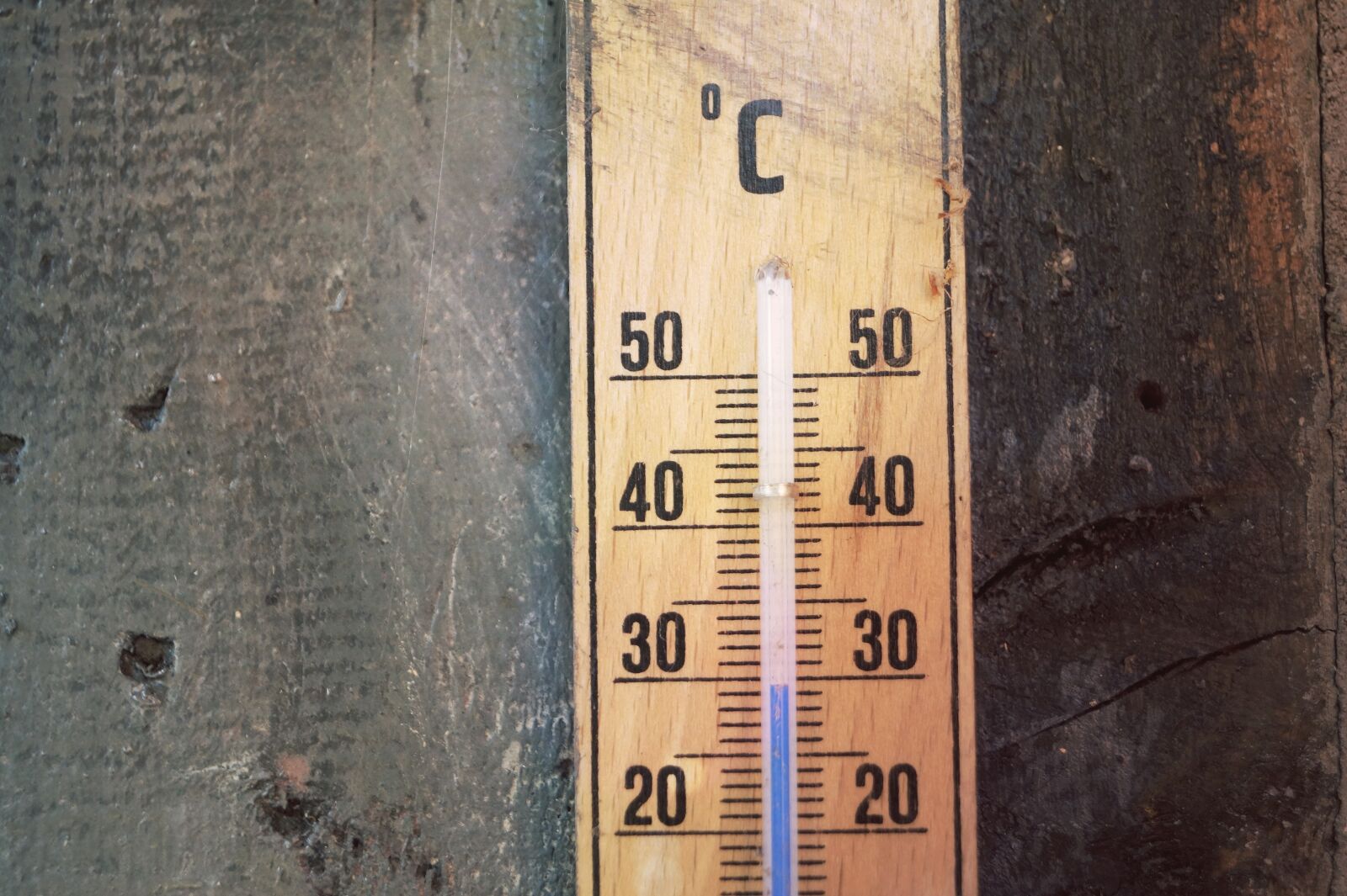 Sony SLT-A58 sample photo. Thermometer, temperature, degrees celsius photography
