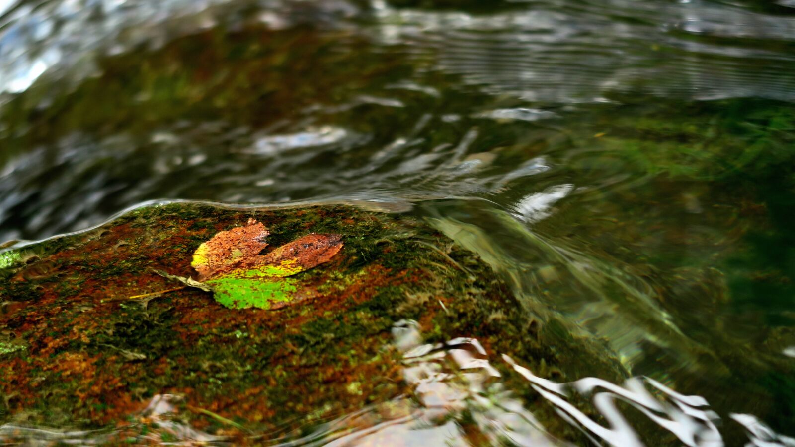 Canon PowerShot G7 X sample photo. Water, water flow, flow photography