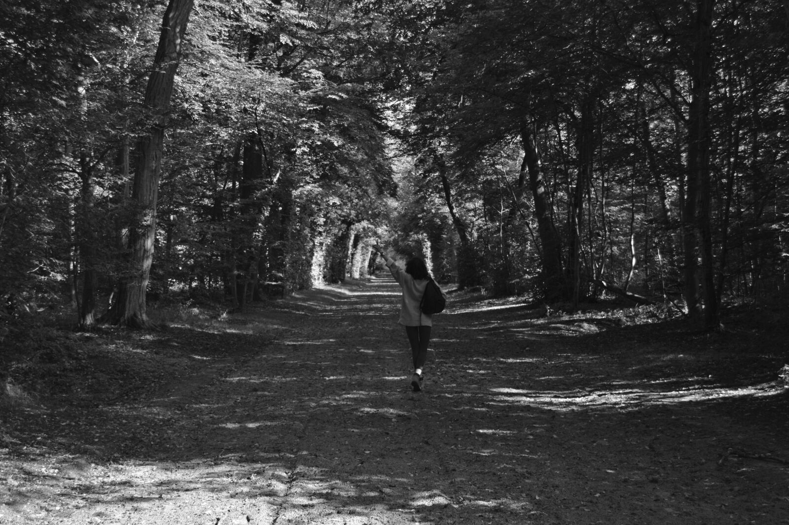 Nikon D3200 sample photo. Forest, black and white photography