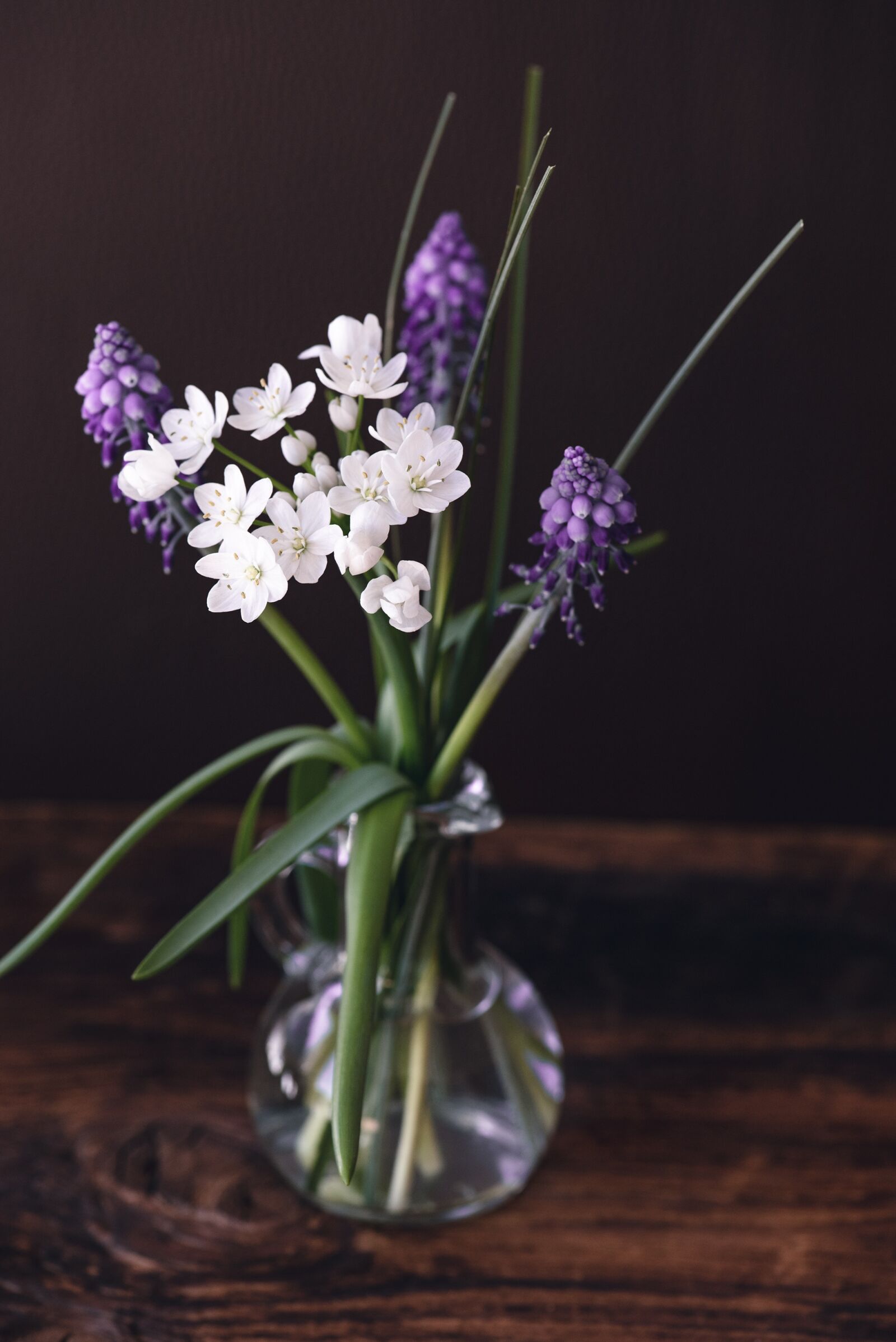 Nikon D750 sample photo. Flowers, tender, spring flowers photography