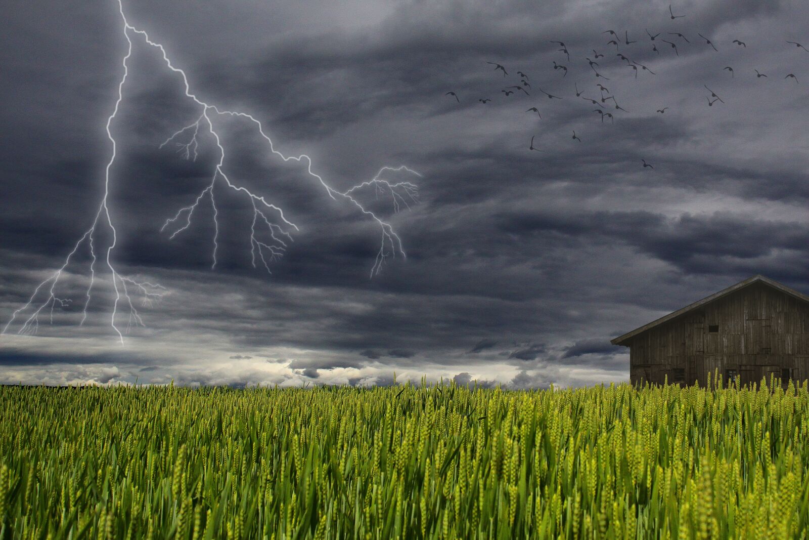 Canon EOS 50D sample photo. Storm, clouds, lightning photography