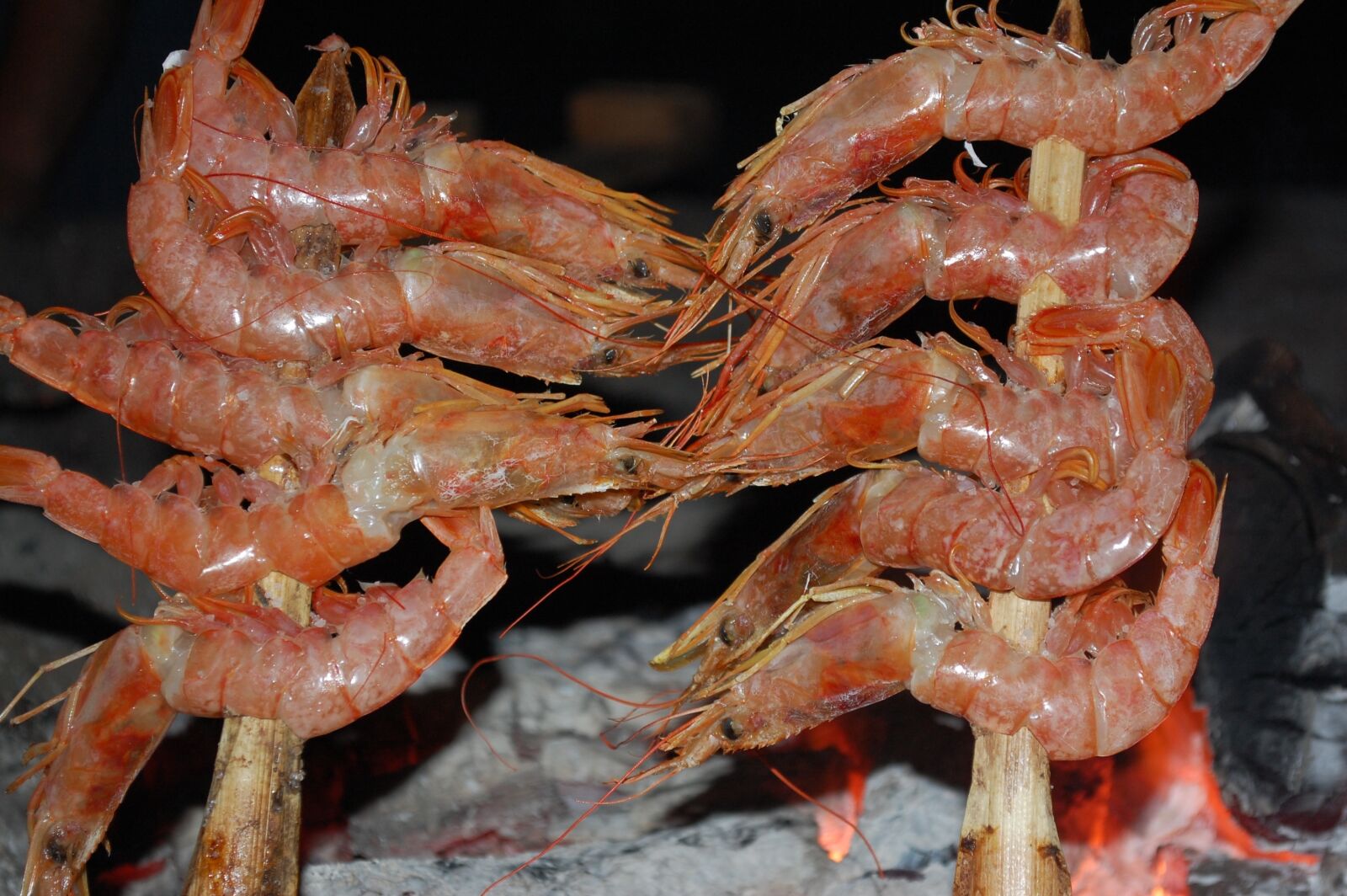 Nikon D40 sample photo. Spain, andalusia, shrimps photography