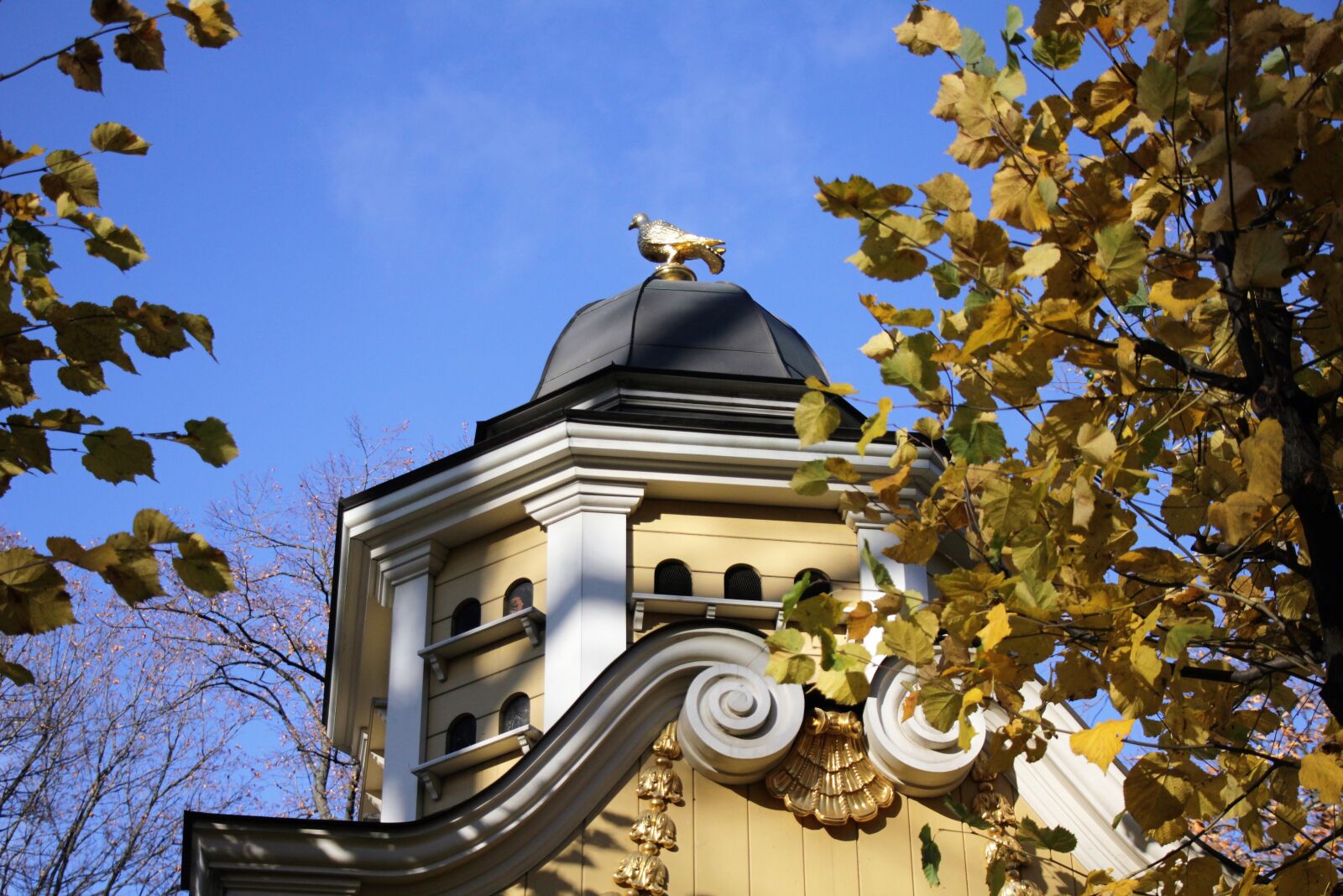 Canon EOS 550D (EOS Rebel T2i / EOS Kiss X4) sample photo. Autumn, gold, bird photography
