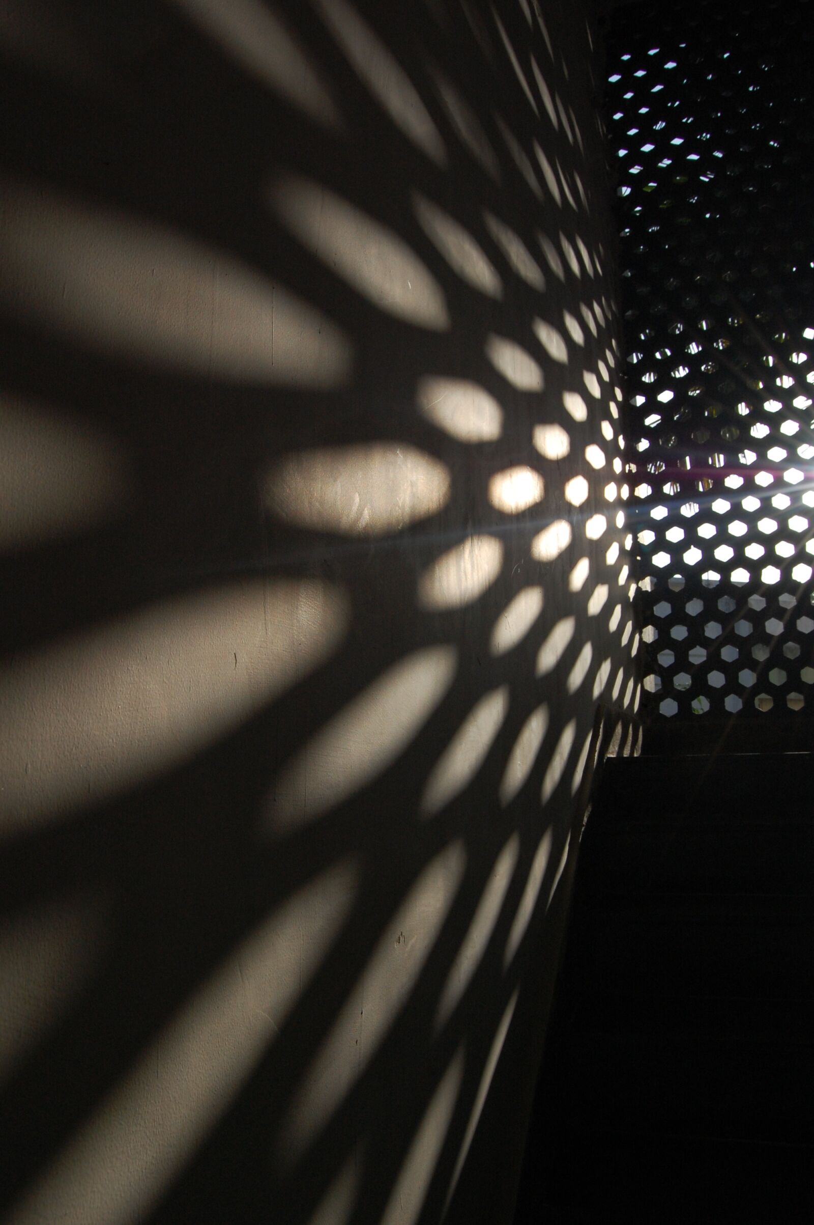 Nikon D40 sample photo. Natural, black shadow, shadow photography