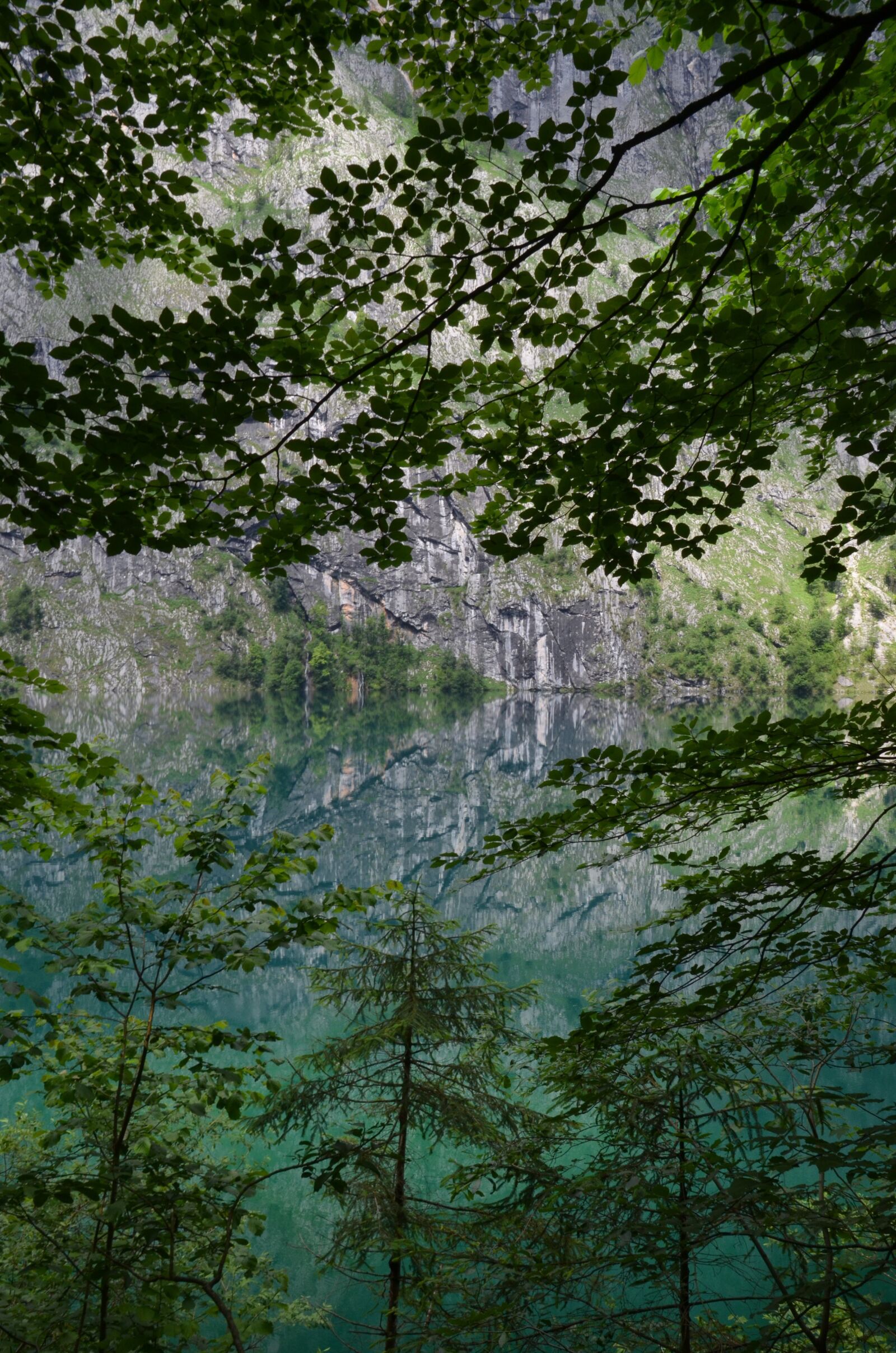 Nikon D5100 sample photo. Upper lake, salet, bavaria photography