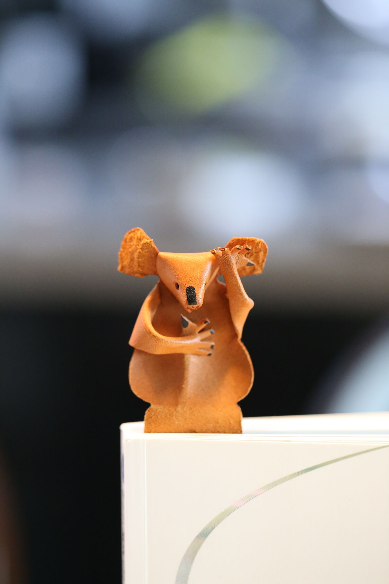Canon EF 100mm F2.8L Macro IS USM sample photo. Koala, book, toy photography