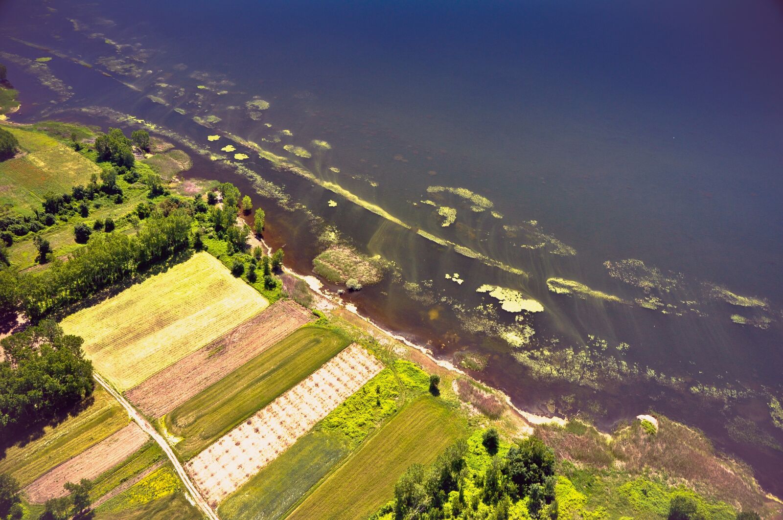 Nikon D90 sample photo. Lake, aerial photography, dro photography