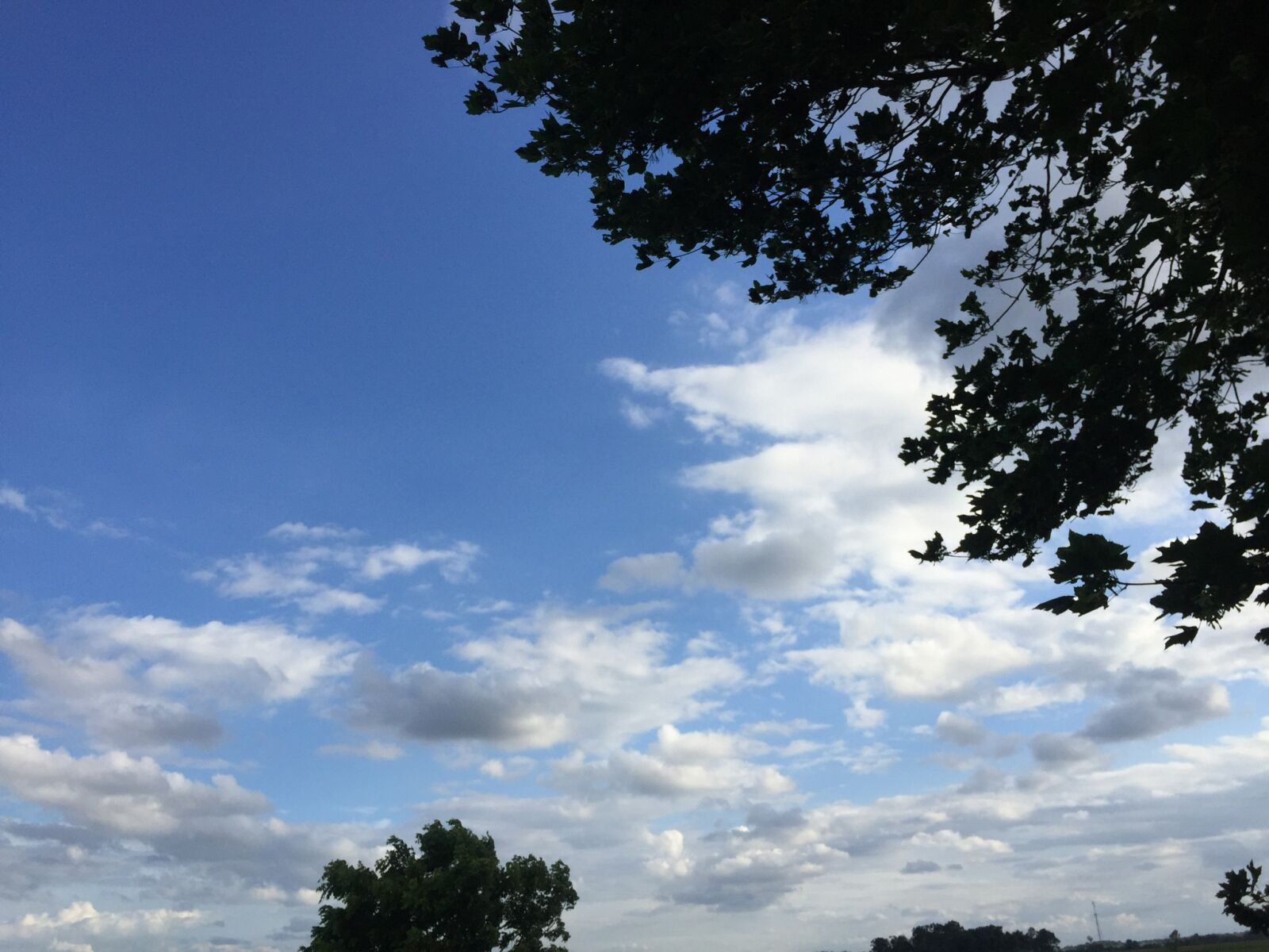 iPhone 6 back camera 4.15mm f/2.2 sample photo
