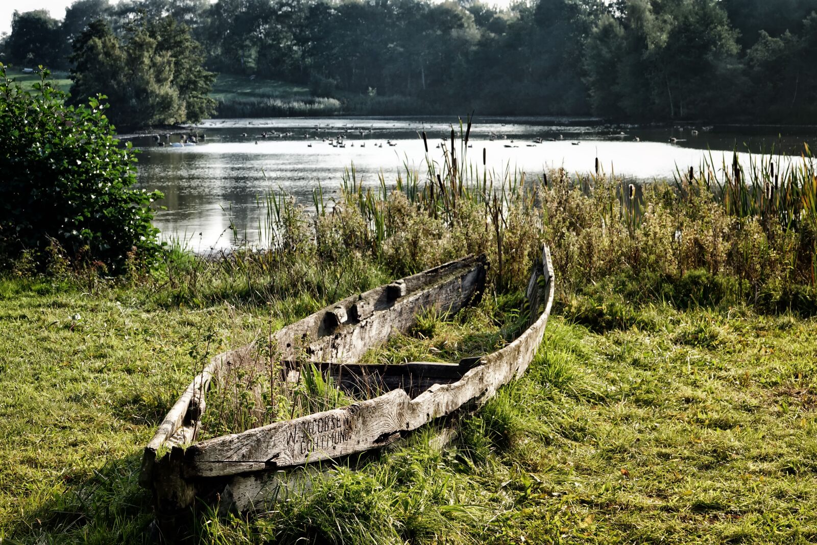 Sony Cyber-shot DSC-RX10 III sample photo. Boat, lake, rowing boat photography