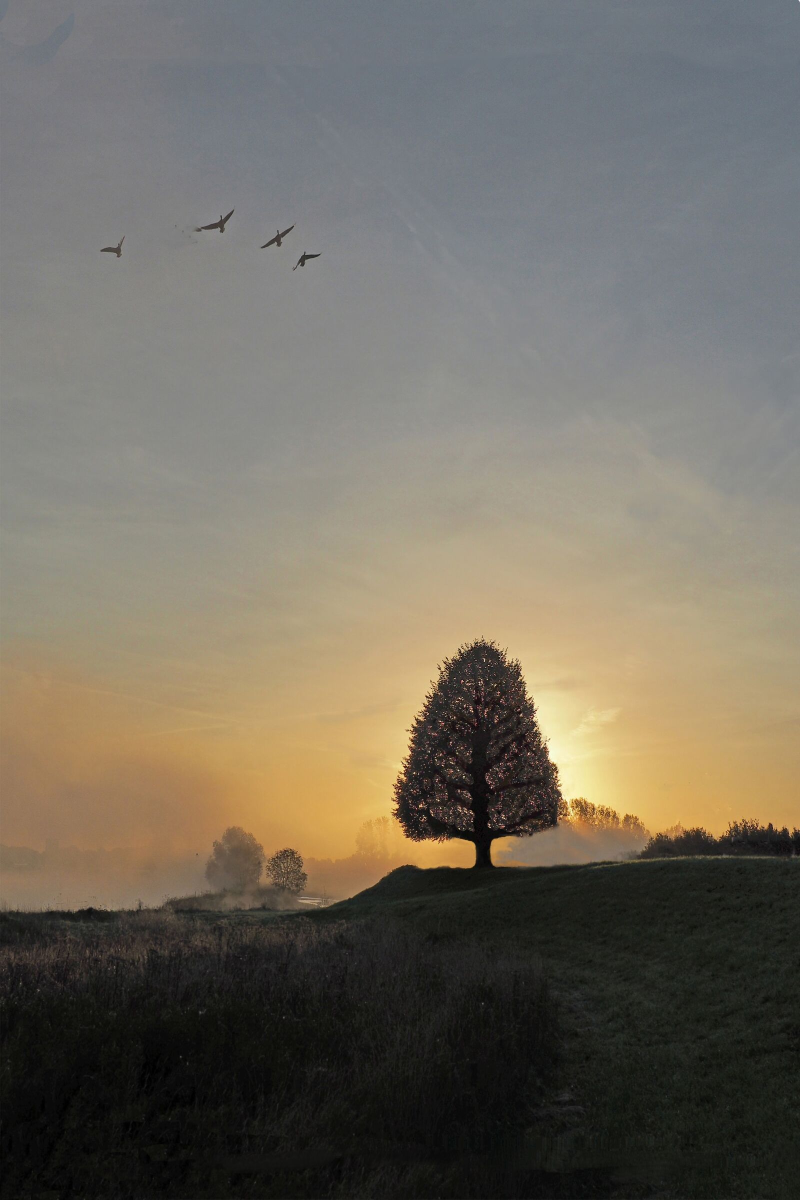 Olympus M.Zuiko Digital ED 12-100mm F4.0 IS Pro sample photo. Landscape, fog, sunset photography