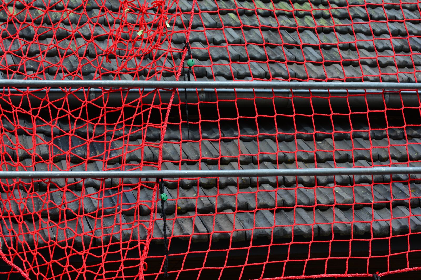 Nikon D5200 sample photo. Web, protection, work photography