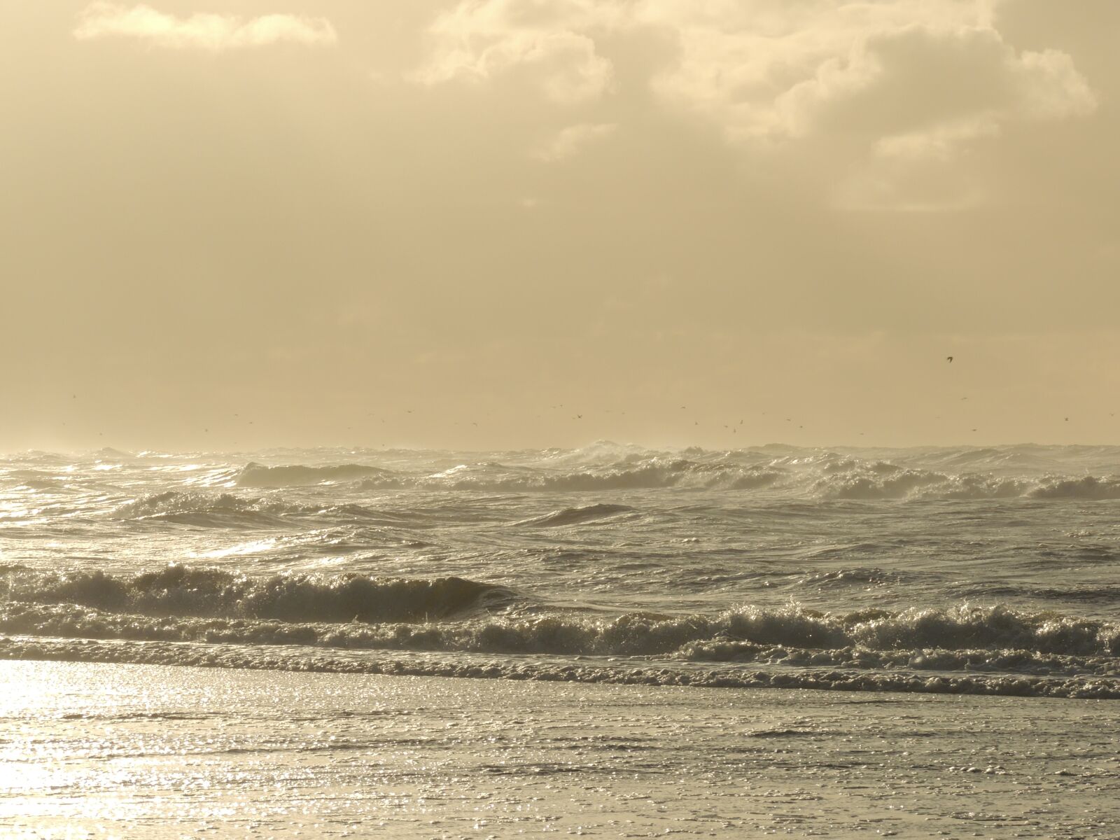 Nikon Coolpix P510 sample photo. Sea, waves, coast photography