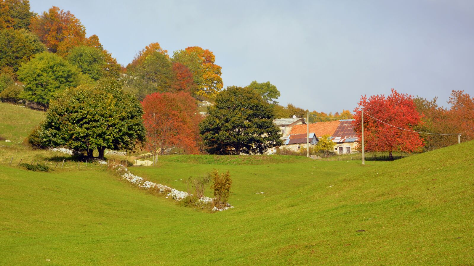 Nikon D7100 sample photo. Autumn, trees, prato photography