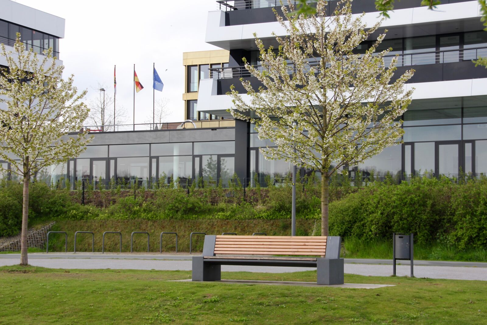 Canon EOS 60D sample photo. Bank, bench, office photography