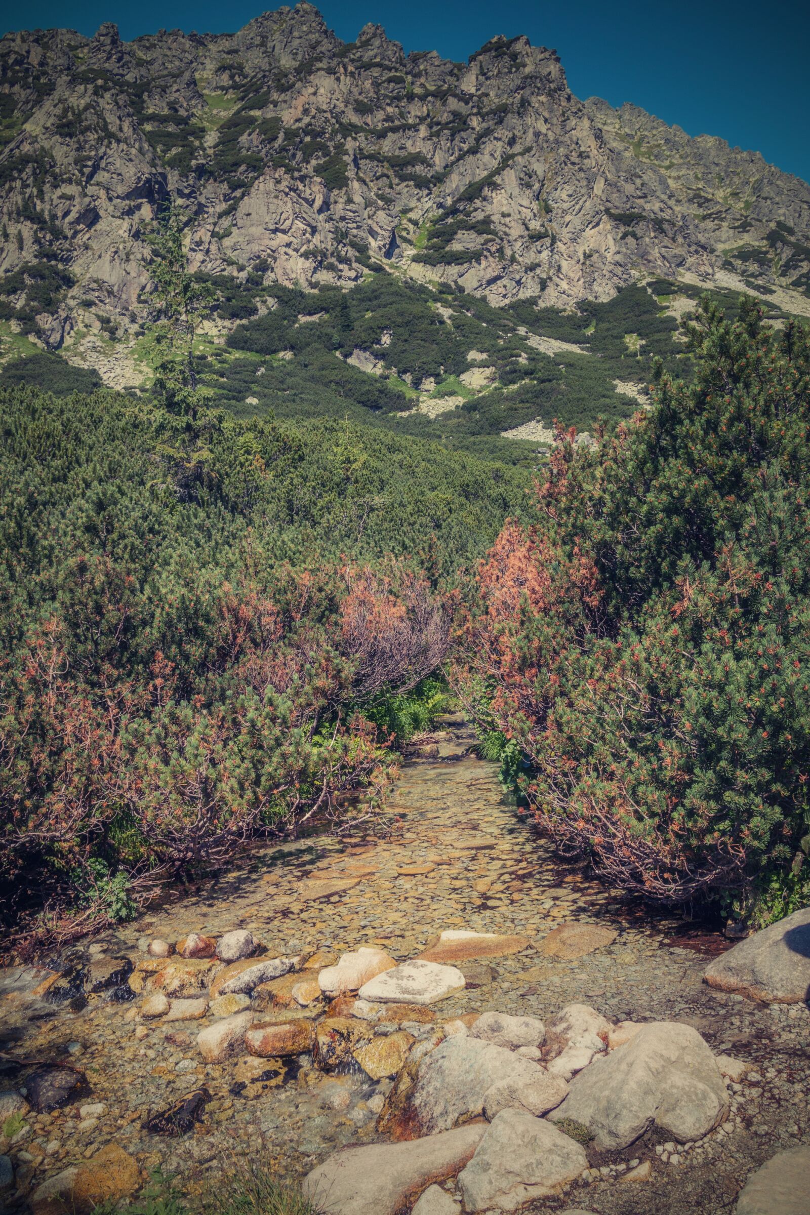 Canon EOS 70D sample photo. Vysoké tatry, tatry, slovakia photography