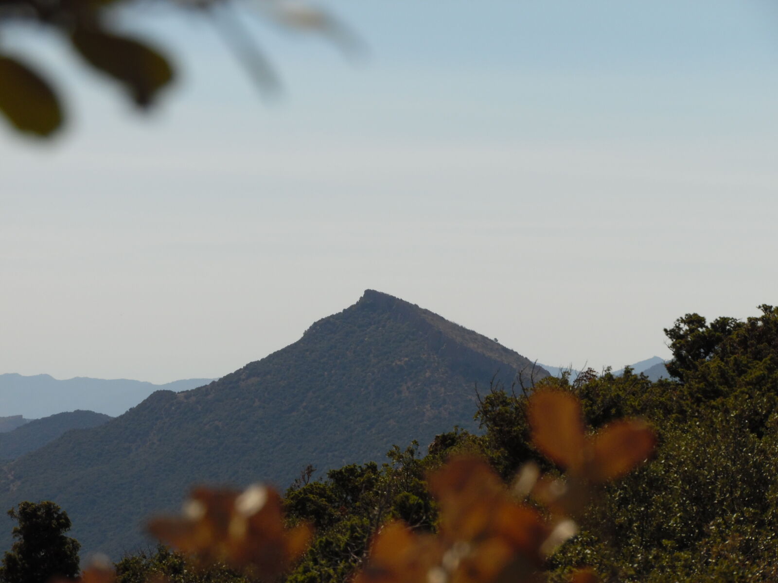 Samsung WB1100F/WB1101F/WB1102F sample photo