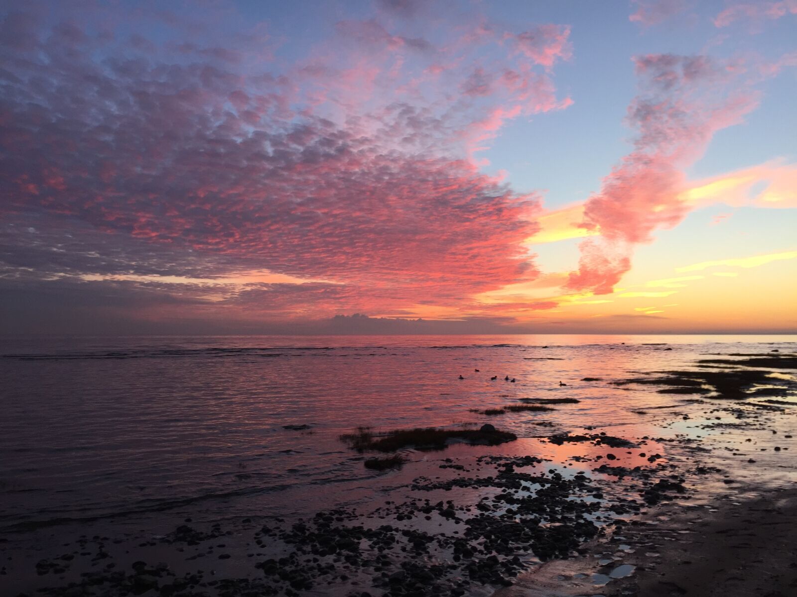 Apple iPhone 6 sample photo. Gulf, sunset, the, gulf photography