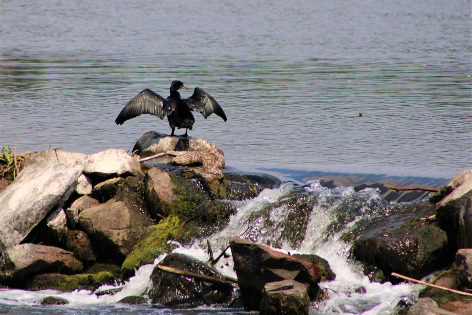 Canon EF75-300mm f/4-5.6 sample photo. Water, river, waterfall photography