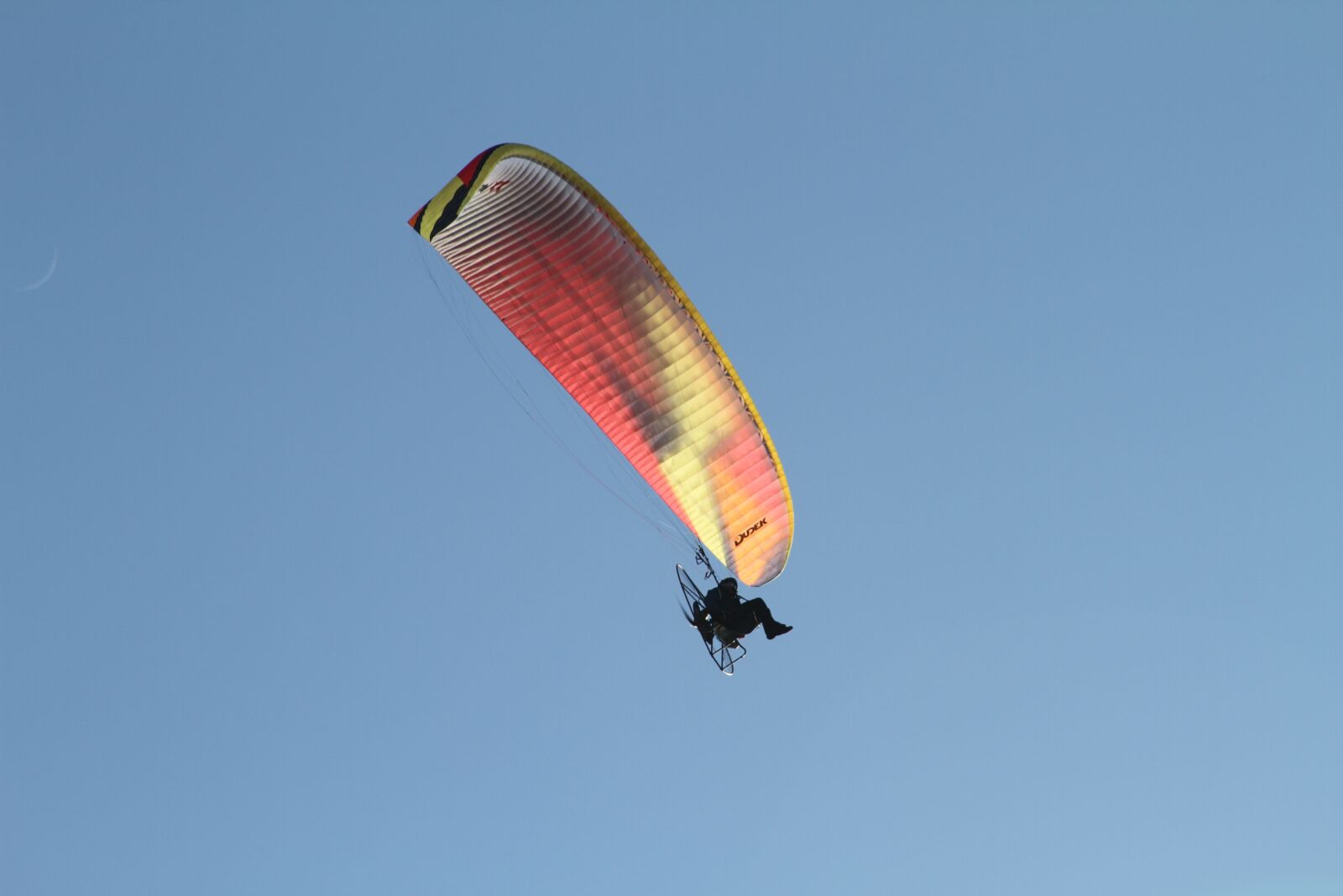 Canon EOS 7D sample photo. Flight, freedom, fly photography