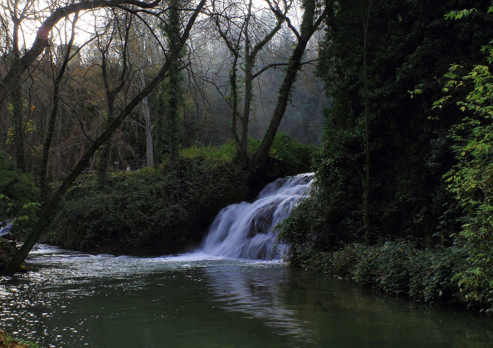 Canon EOS 1100D (EOS Rebel T3 / EOS Kiss X50) sample photo. Agua, verde, natureza photography