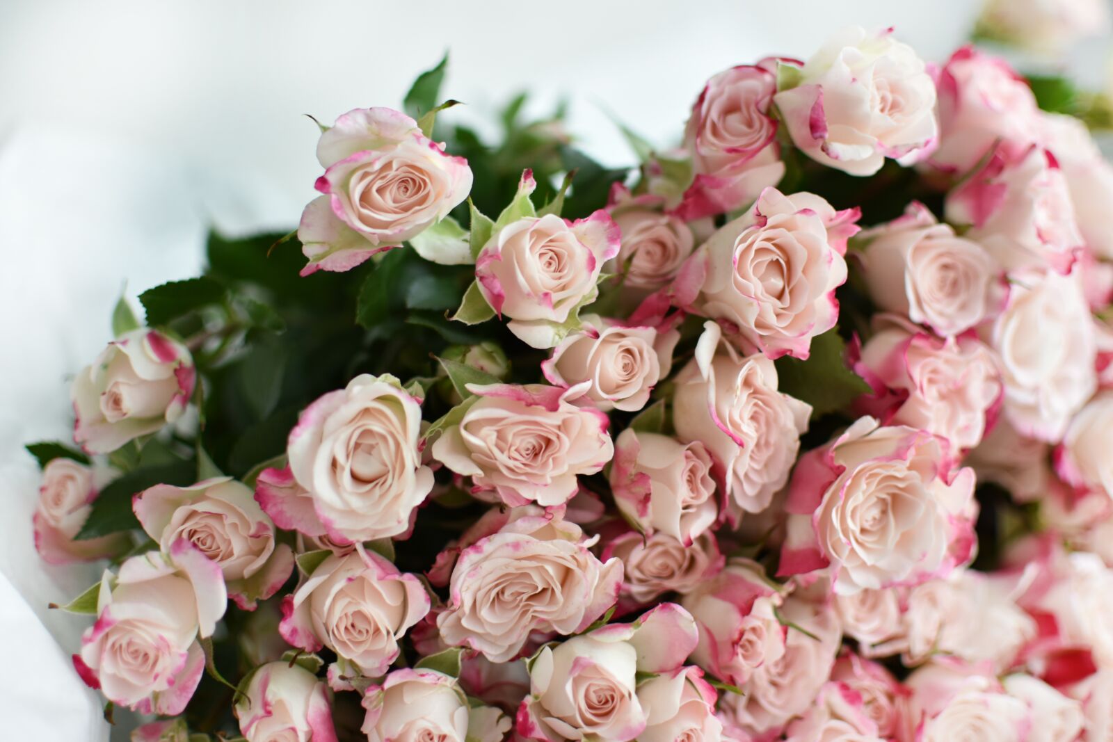 Nikon D3400 sample photo. Rose, bouquet, flowers photography