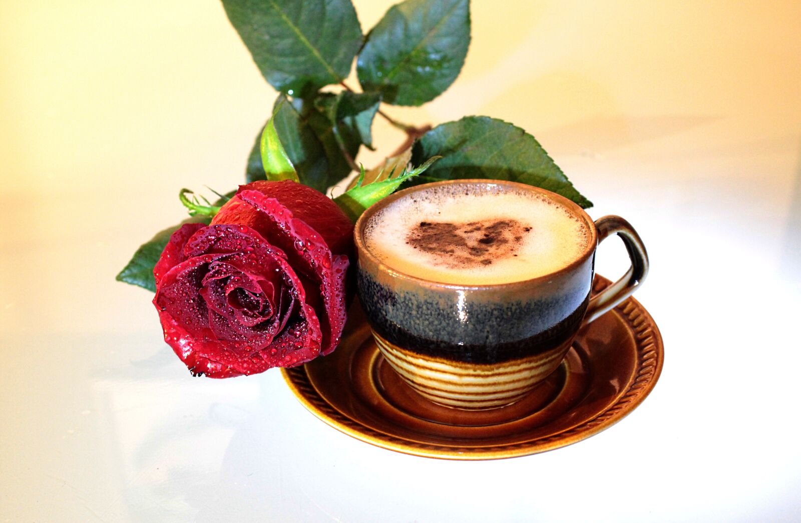 Canon EOS 600D (Rebel EOS T3i / EOS Kiss X5) sample photo. Coffee, rose, cup photography