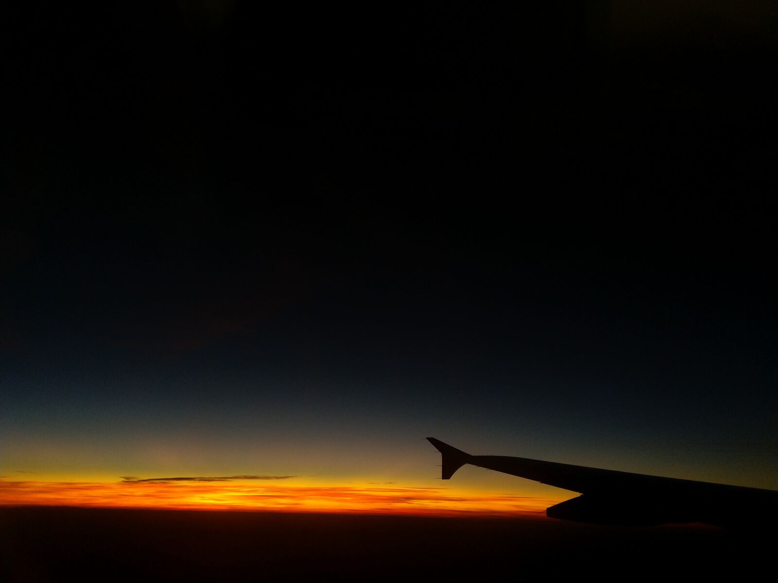 HMD Global Nokia 7 plus sample photo. Flight, night, wings photography