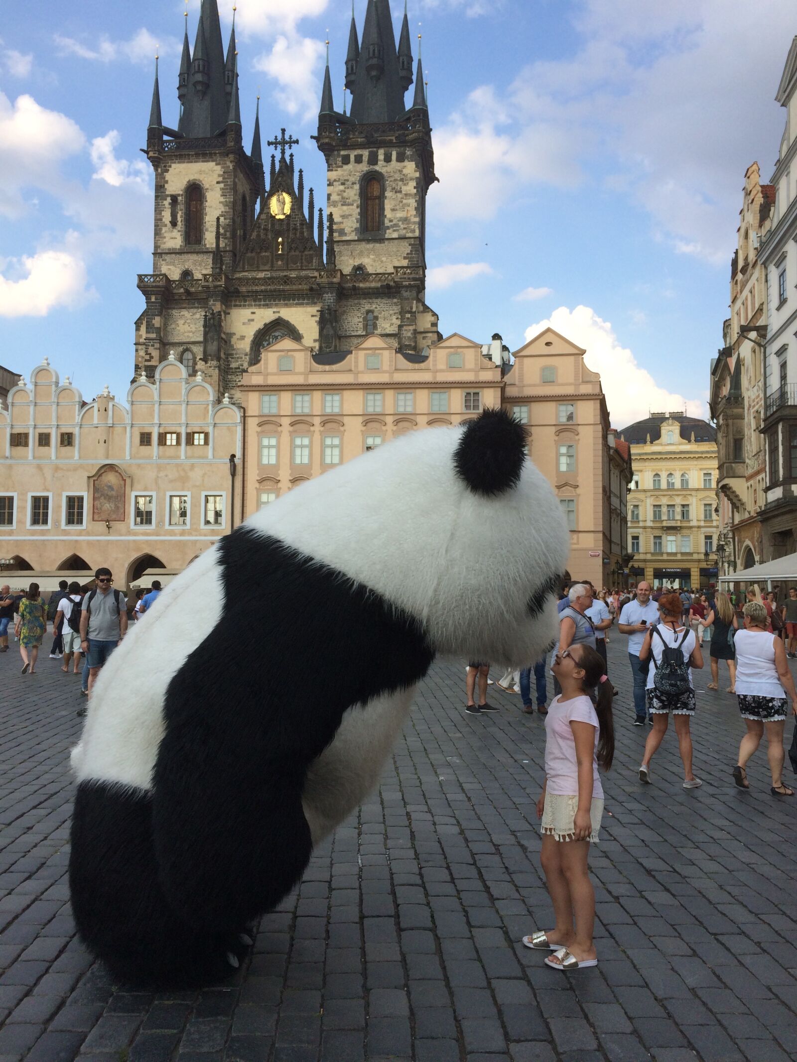 iPhone 5s back camera 4.15mm f/2.2 sample photo. Prague, bear, panda photography