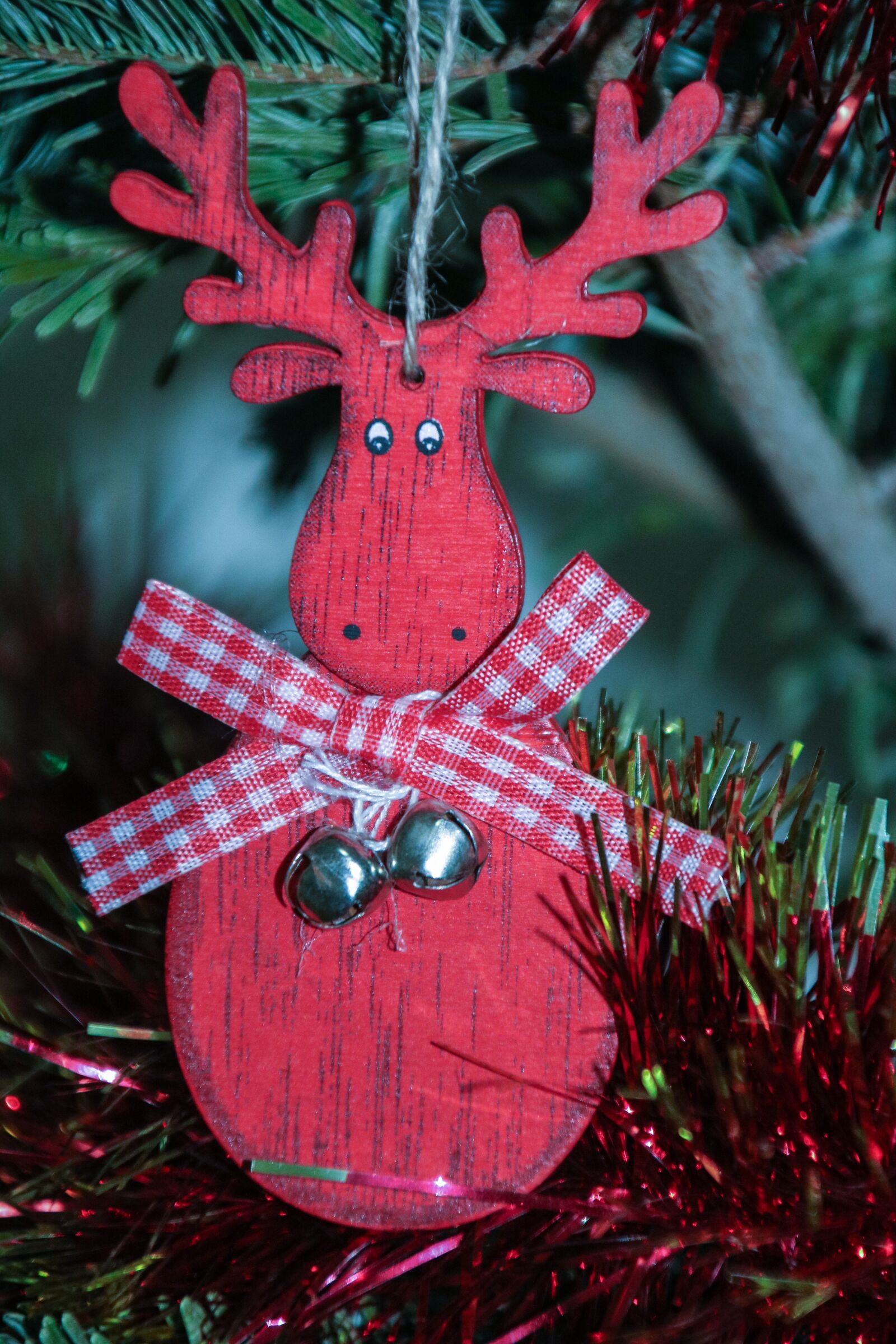 Canon EOS 750D (EOS Rebel T6i / EOS Kiss X8i) + Canon TS-E 90mm F2.8 Tilt-Shift sample photo. Reindeer, christmas, brad photography