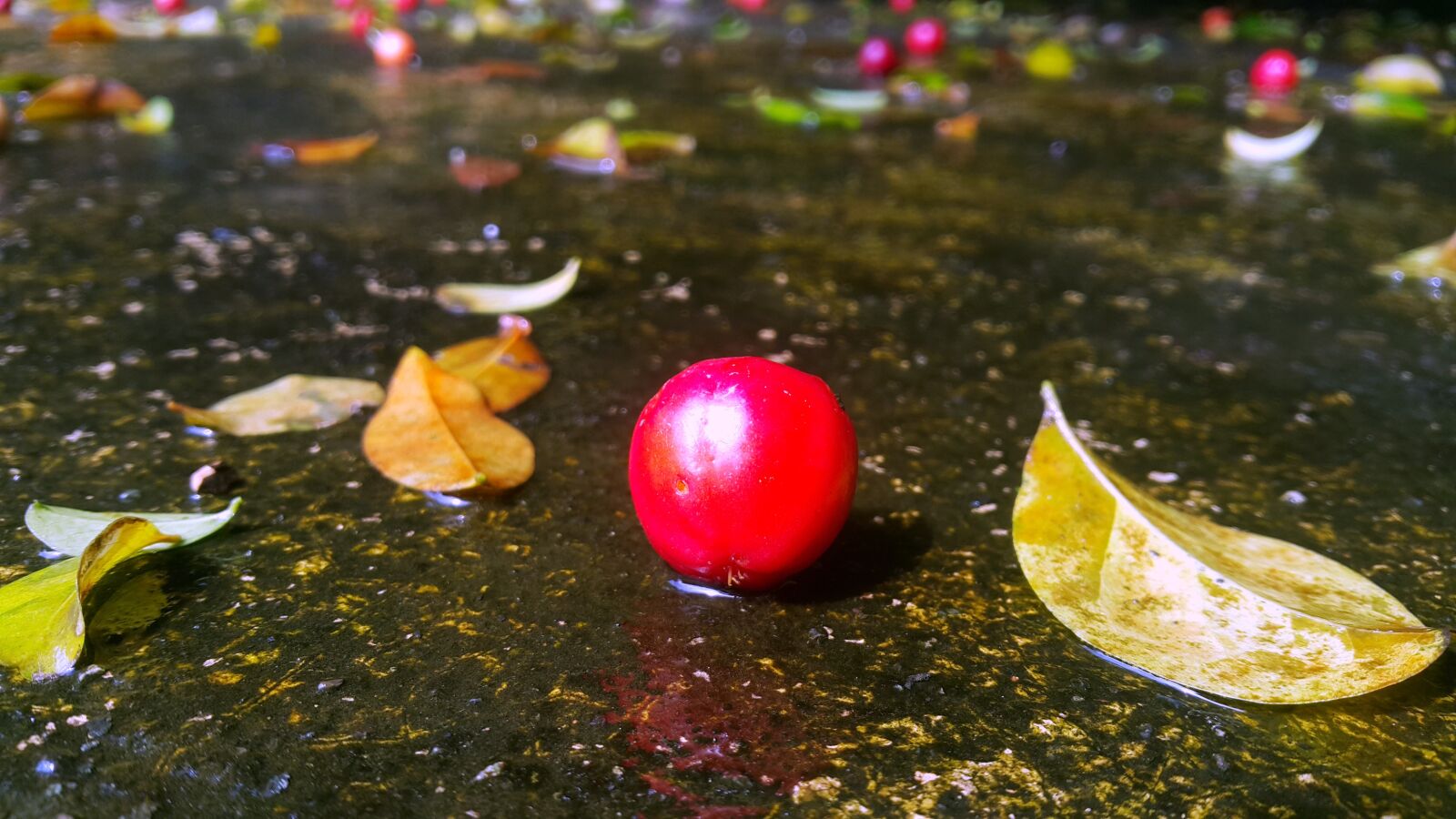 Samsung Galaxy Note4 sample photo. Nature, body of water photography