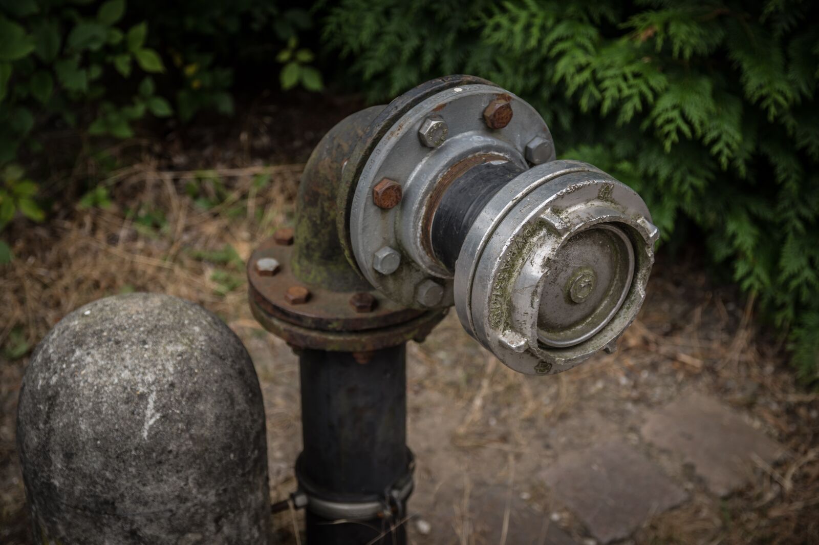 Pentax K-3 sample photo. Hydrant, water supply, fire photography