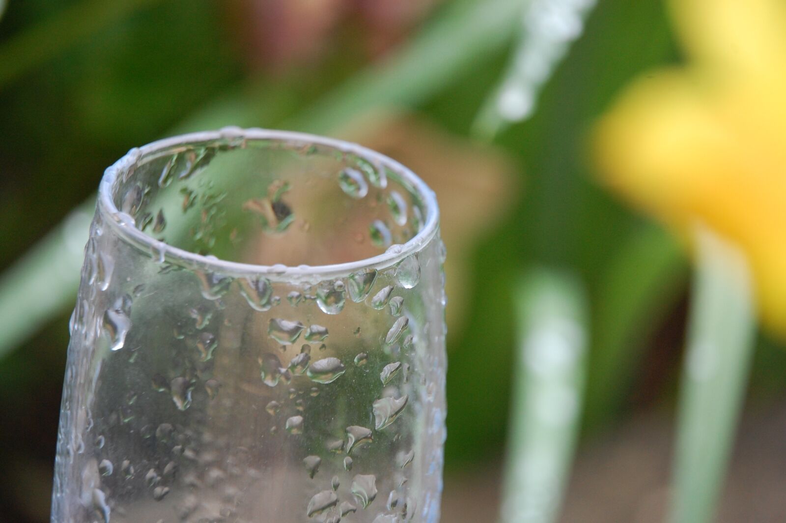 Nikon D40 sample photo. Glass, water, fresh photography