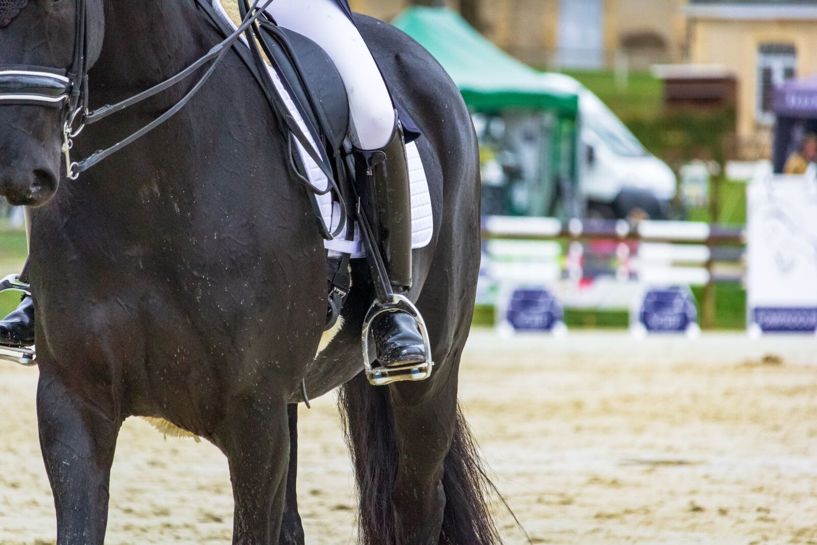 Canon EF-S 55-250mm F4-5.6 IS STM sample photo. Horse, horses, dressage photography
