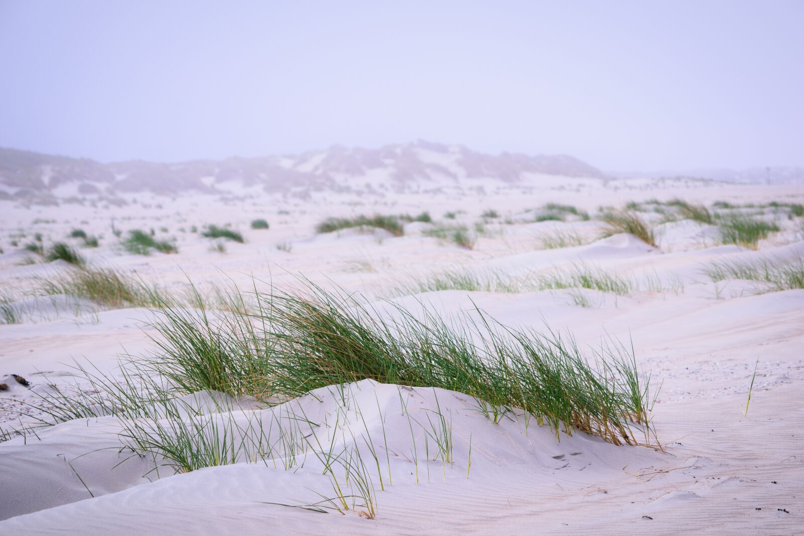 Nikon D5300 sample photo. Baltrum, morgenstimmung, north sea photography