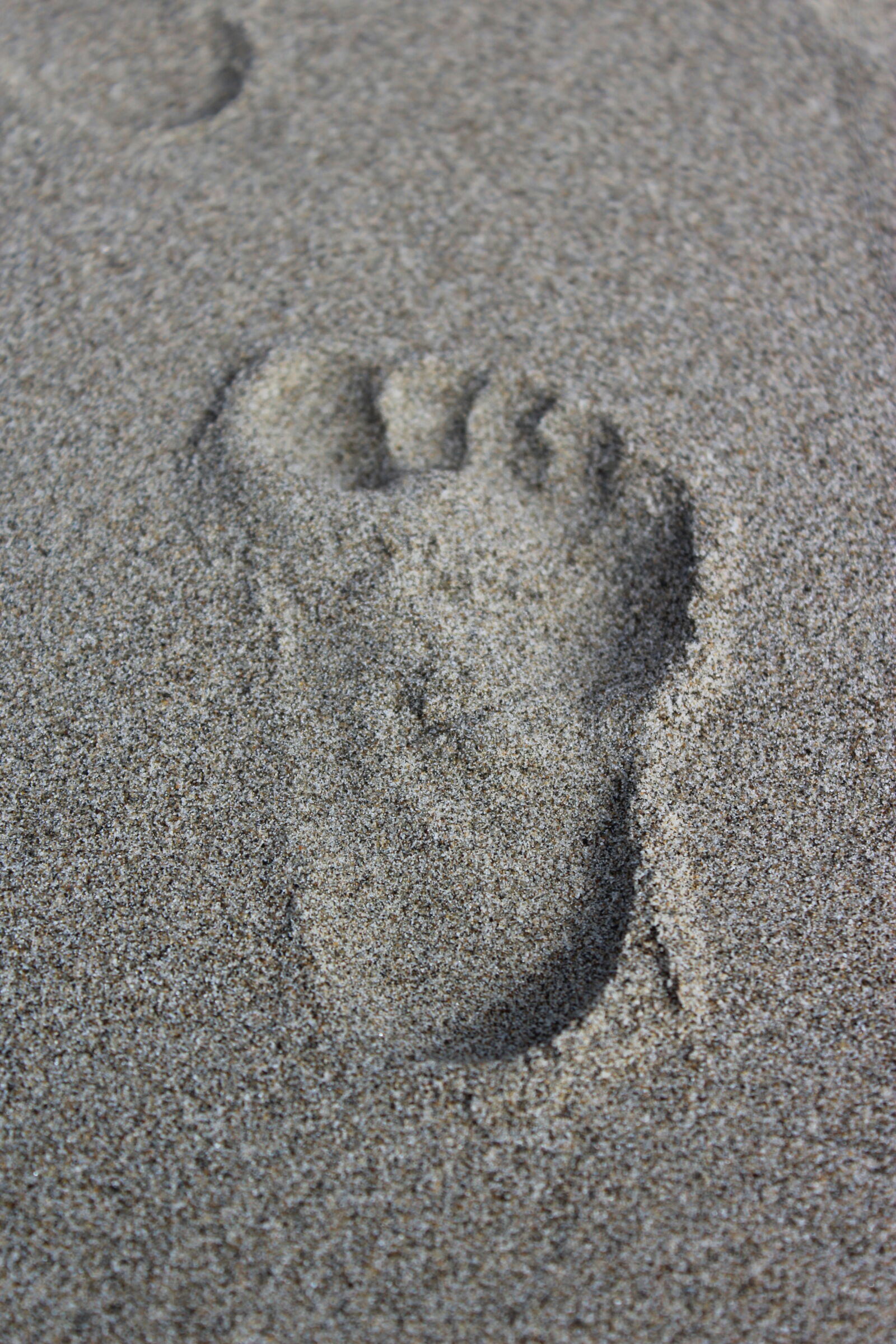 Canon EOS 1200D (EOS Rebel T5 / EOS Kiss X70 / EOS Hi) sample photo. Footprint, ocean, sand photography