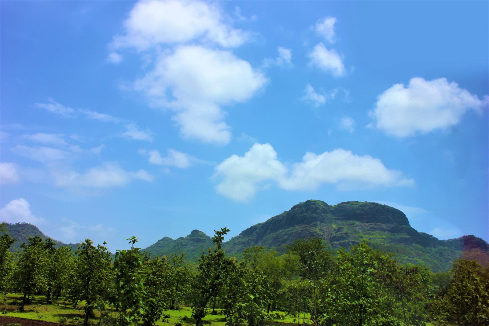 Canon EOS 600D (Rebel EOS T3i / EOS Kiss X5) sample photo. Aerial, view, mothernature, natural photography