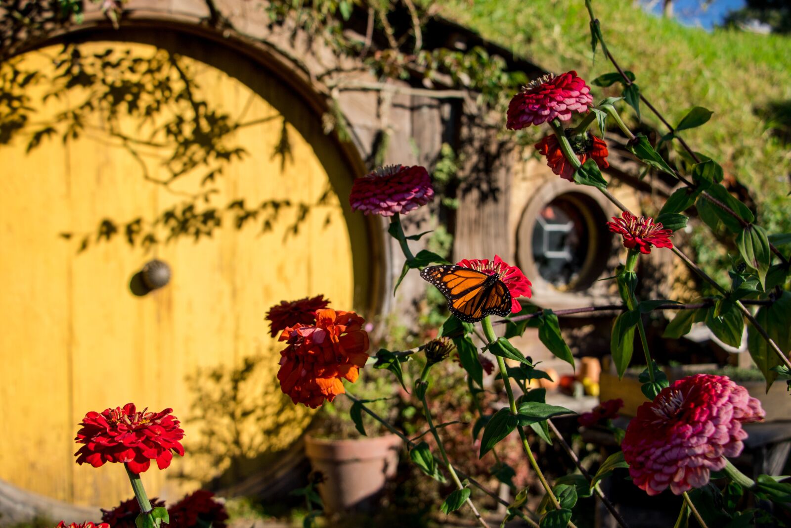 Canon EOS 760D (EOS Rebel T6s / EOS 8000D) sample photo. Lotr, lord of the photography
