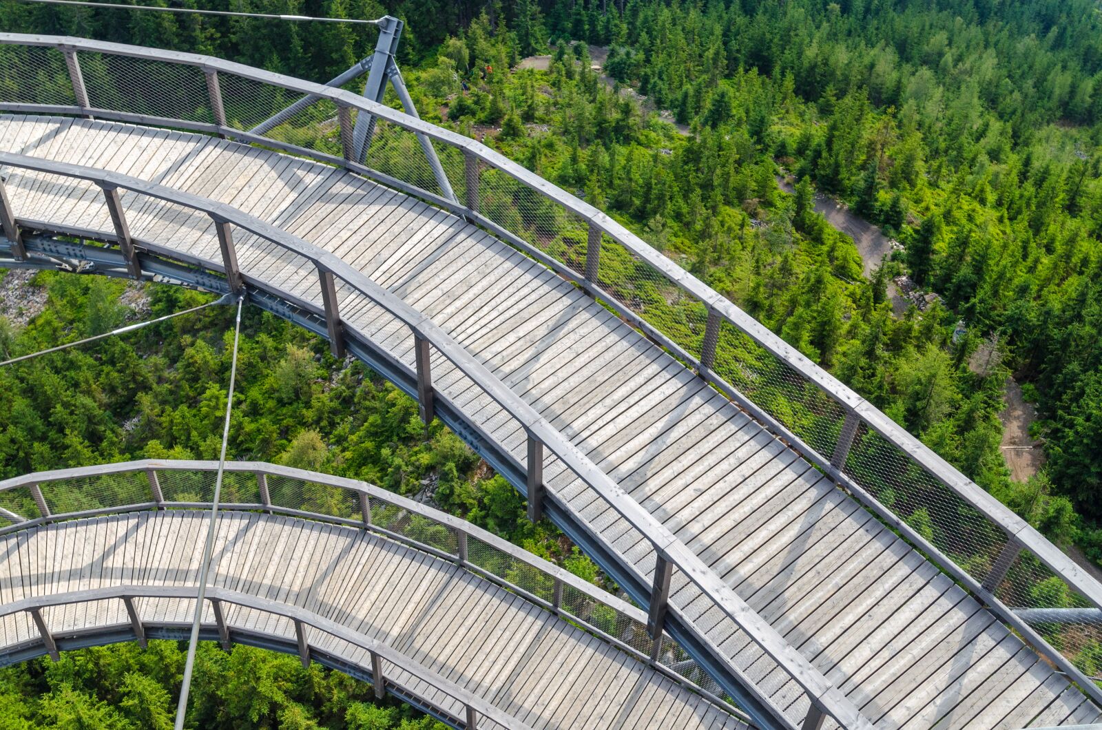 Nikon D5100 sample photo. Bridge, conifers, environment, fir photography