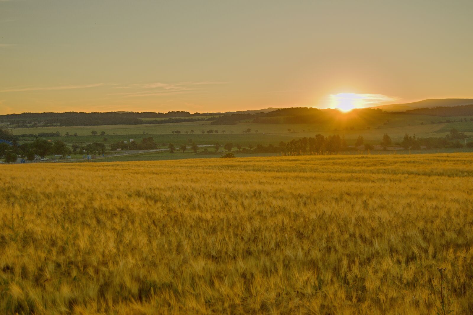 Nikon D3200 sample photo. Sunrise, field, grain photography