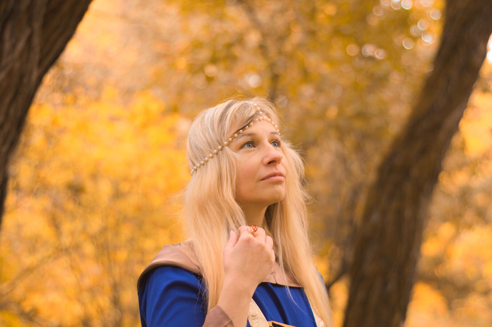 Nikon D7100 sample photo. The middle ages, autumn photography
