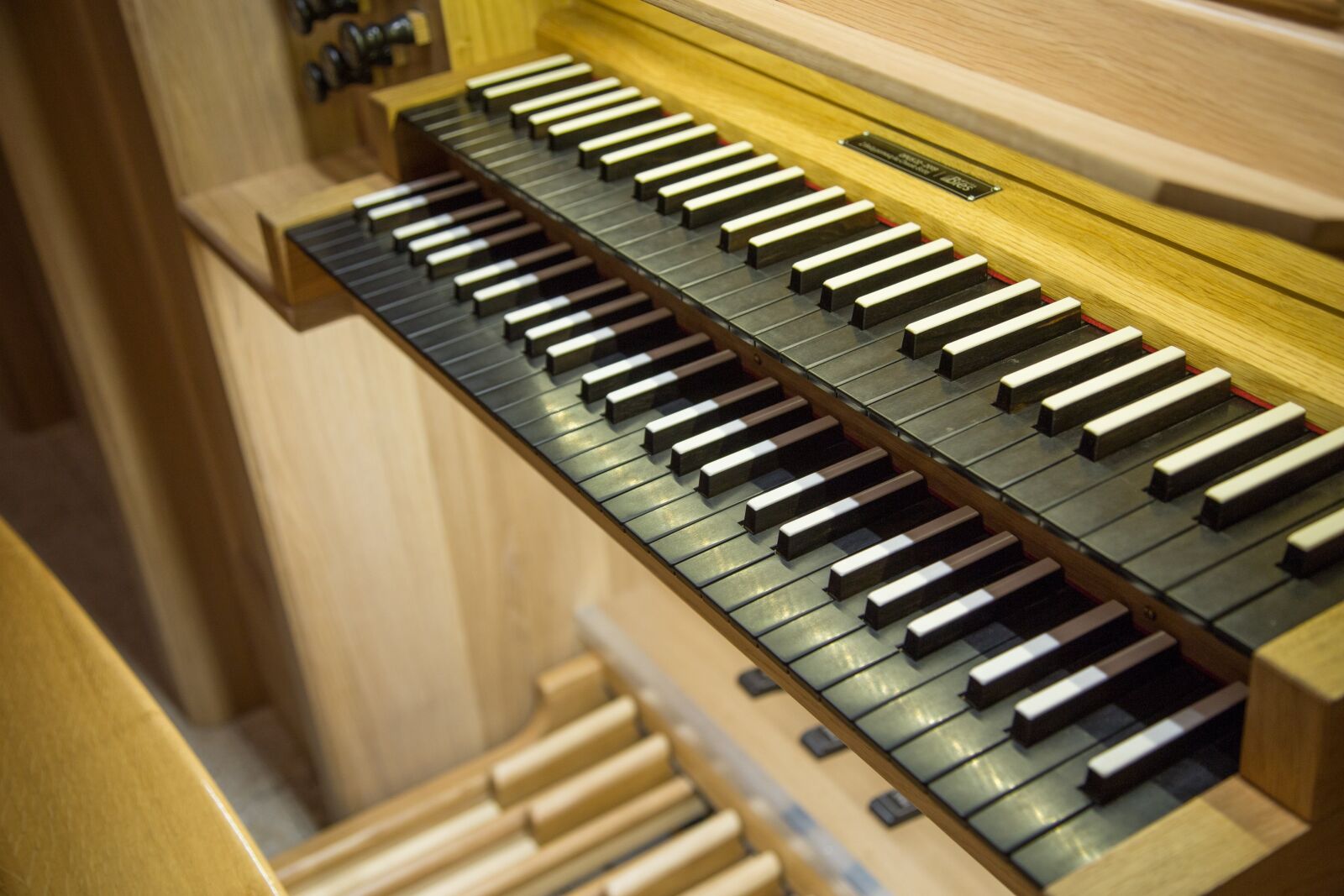 Canon EOS 6D + Canon EF 24-105mm F4L IS USM sample photo. Organ, population, internet bank photography