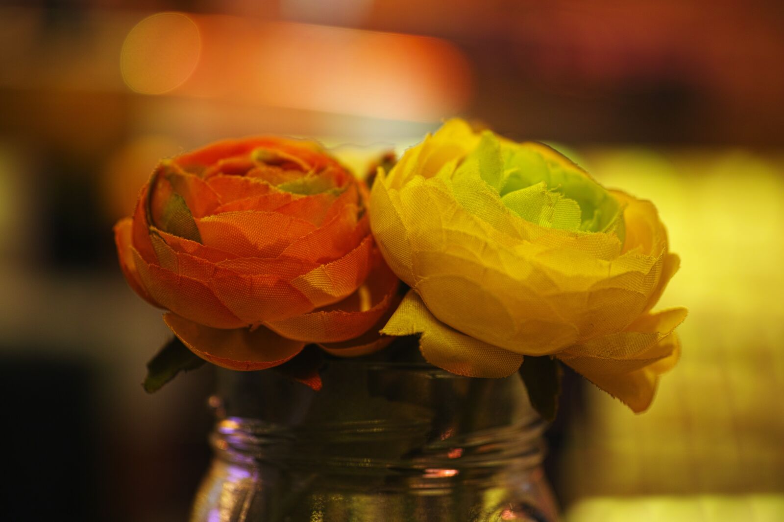 Sigma DP3 Merrill sample photo. Flower, dry, don't photography