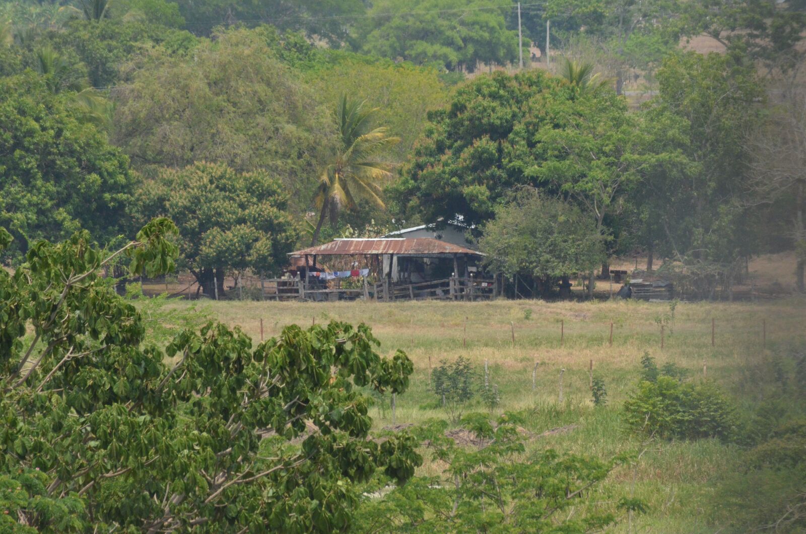 Nikon D5100 sample photo. Farm, nature, trees photography