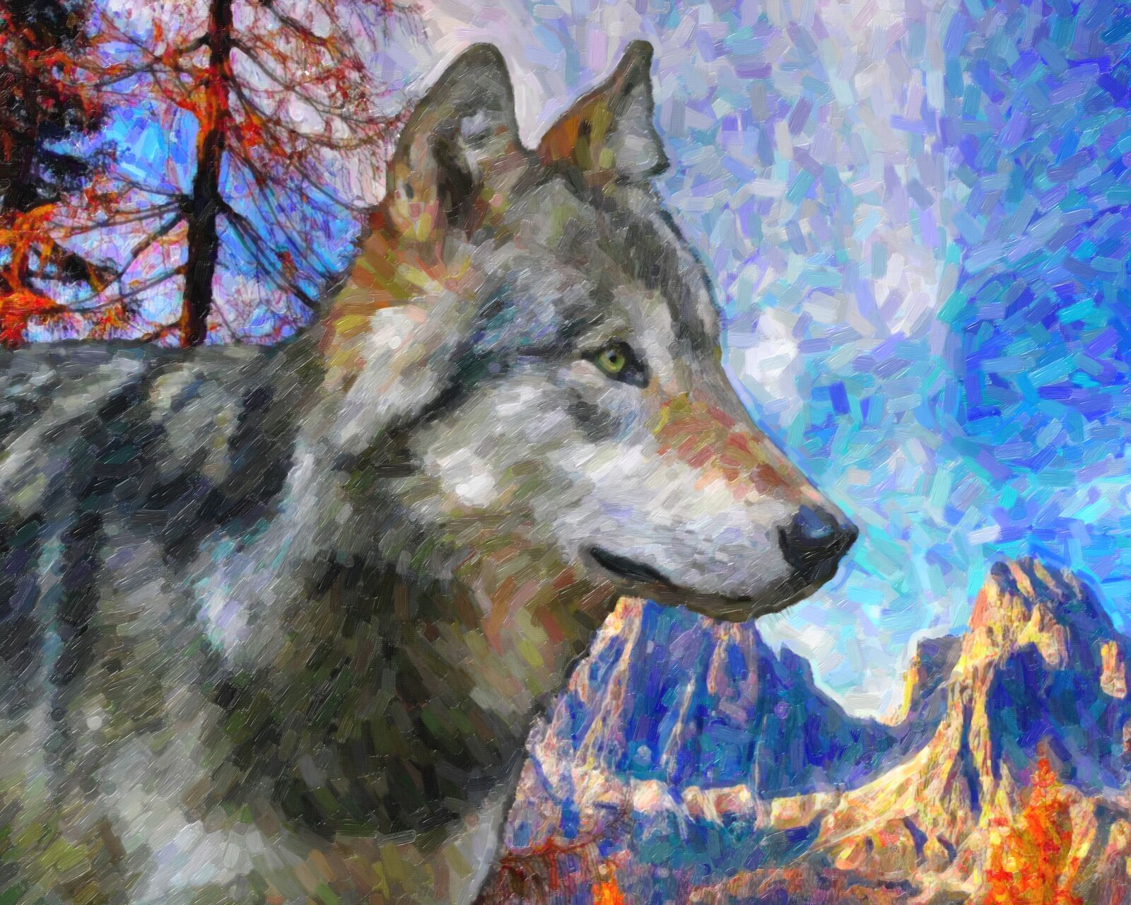 Nikon D500 sample photo. Wolf, nature, mountain photography